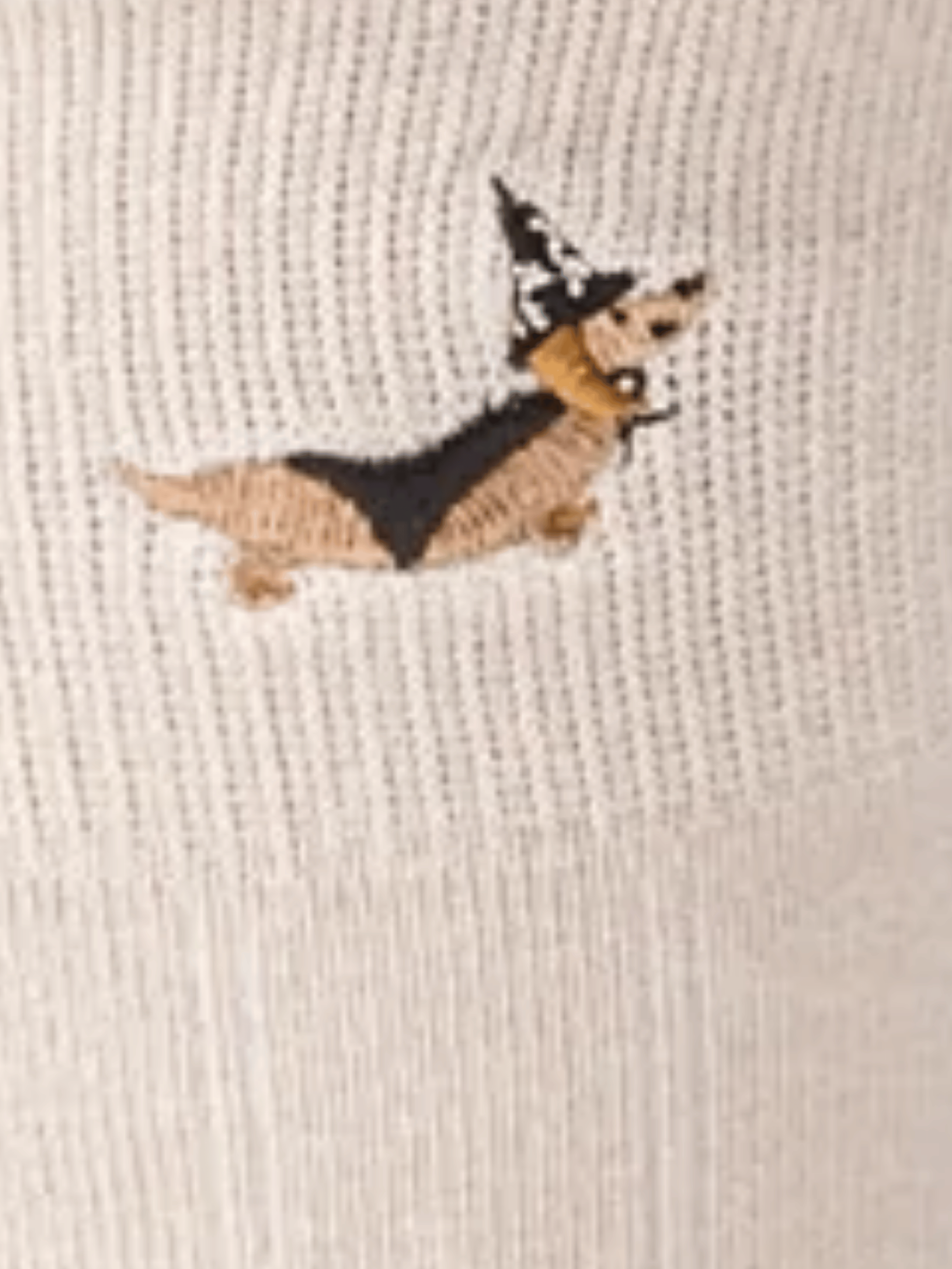 Embroidered dachshund wearing a witch hat on a beige fabric background
